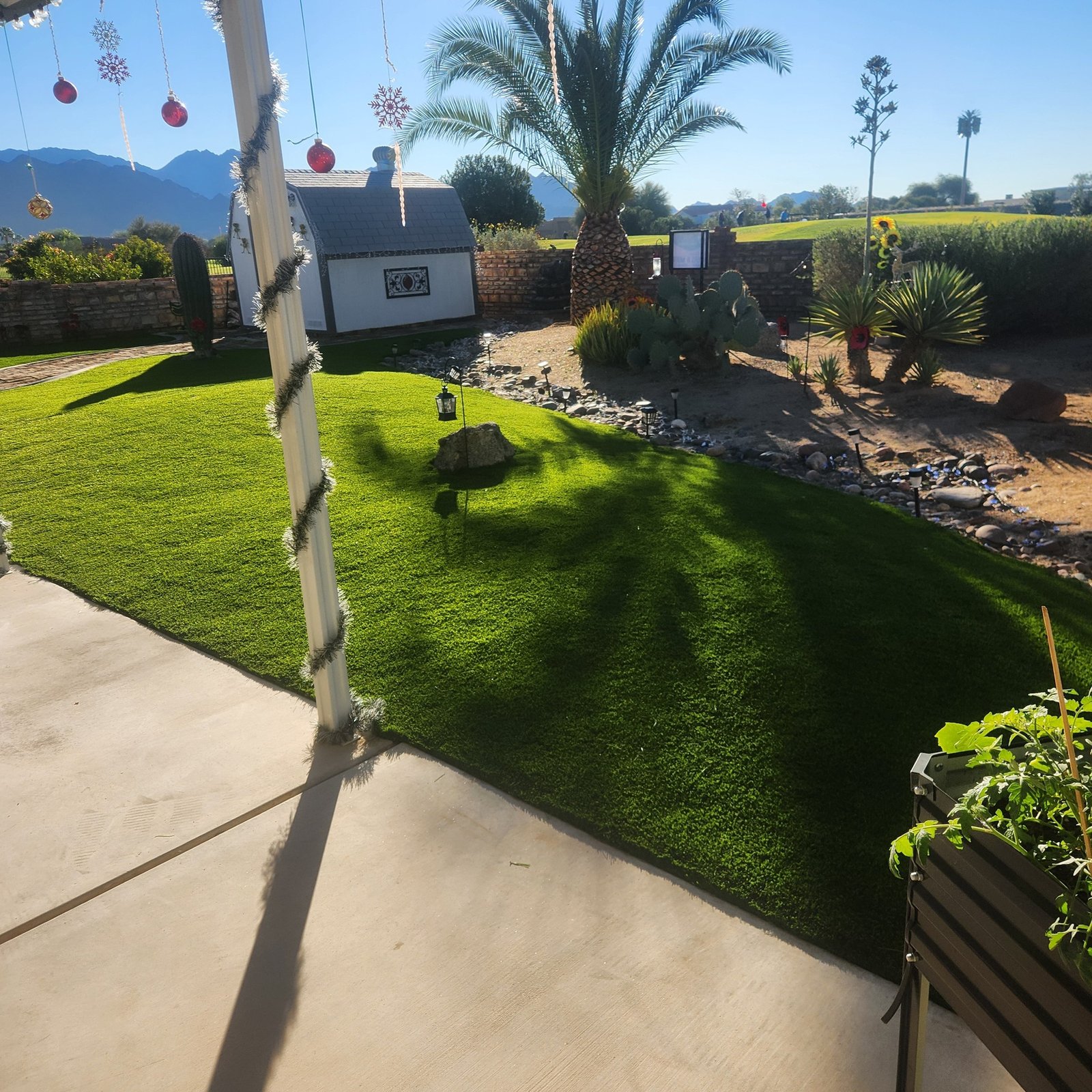 591451161_2078754232926585_7018264450461984900_n