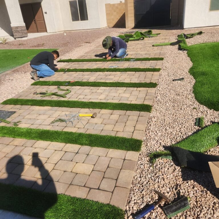 WhatsApp Image 2026-01-14 at 8.22