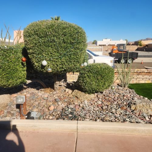 591393260_2078798966255445_6779588903069720245_n