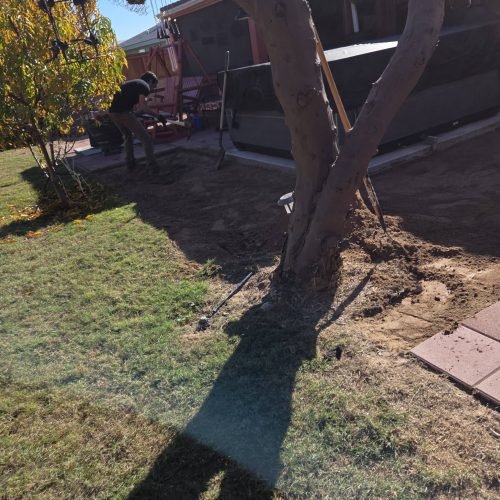 596812417_2087038665431475_6806393438720782974_n